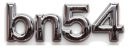 bn54 logo